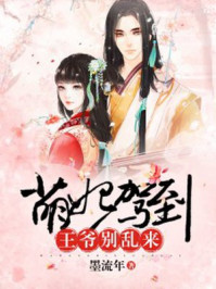 鬼手神医:王妃请上位